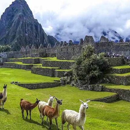 Machupicchu Full Day